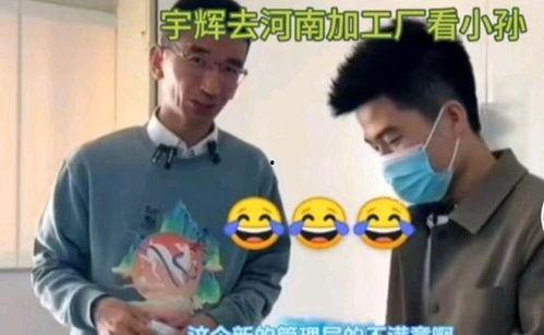 爆料董宇辉团建视频大全,揭秘网红背后的团队生活